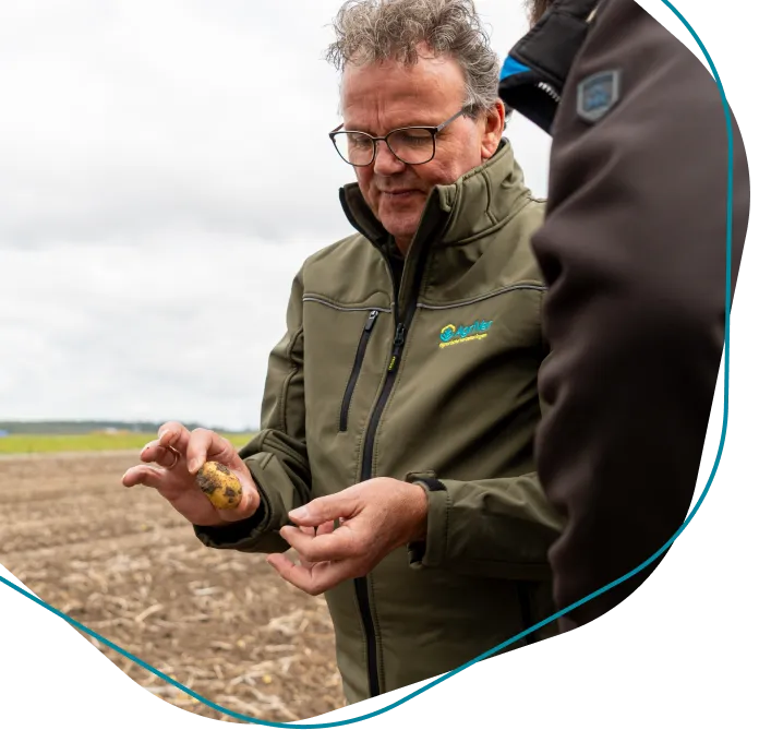 AgriVer adviseur in gesprek over agrarische verzekeringen van open teelt op een aardappelveld.